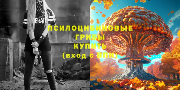 спиды Армянск